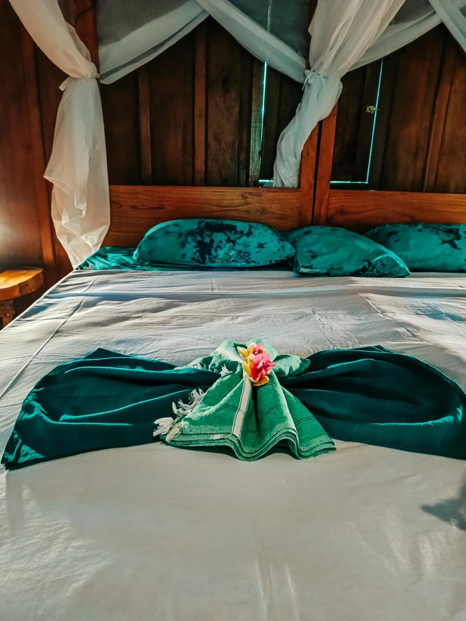 Alaya Ecolodge เปมูเตรัน ภายนอก รูปภาพ